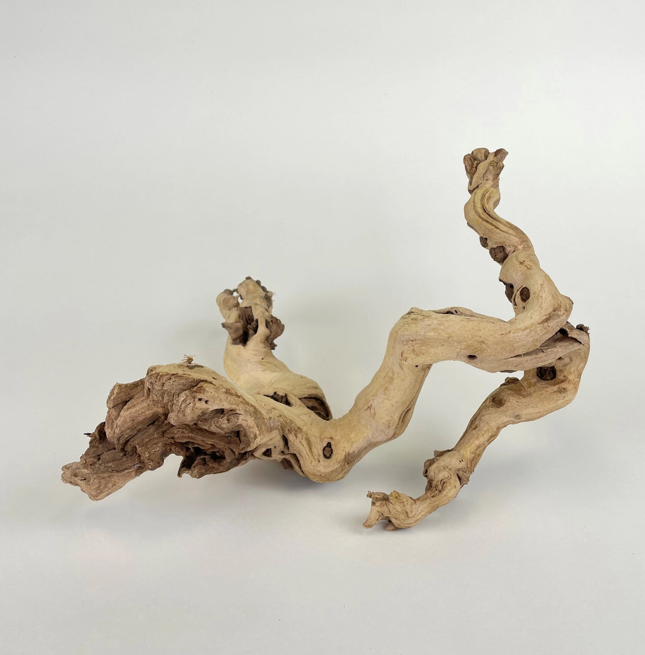 Sandblasted Grapewood - 10"