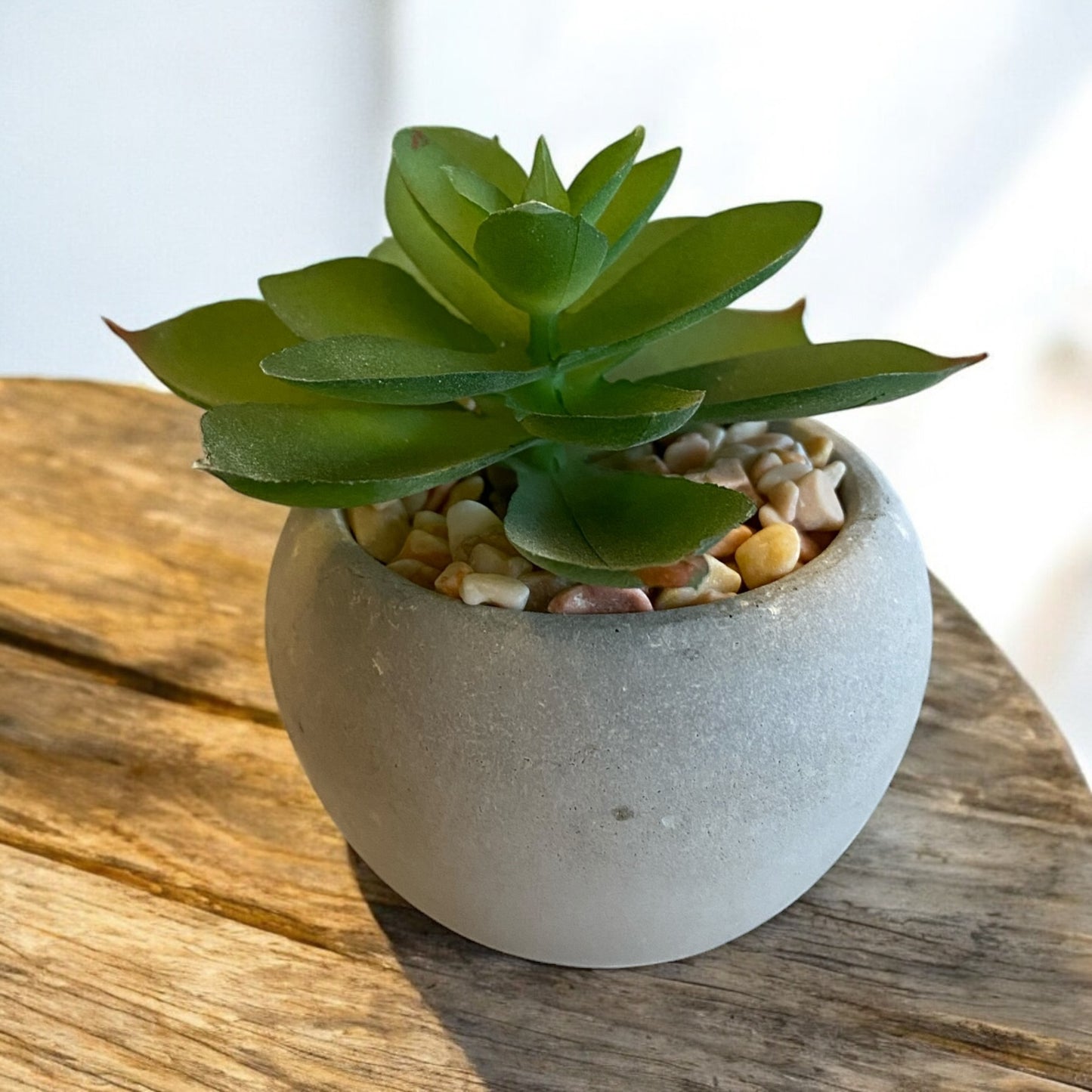 Mini Succulent - 6 Styles