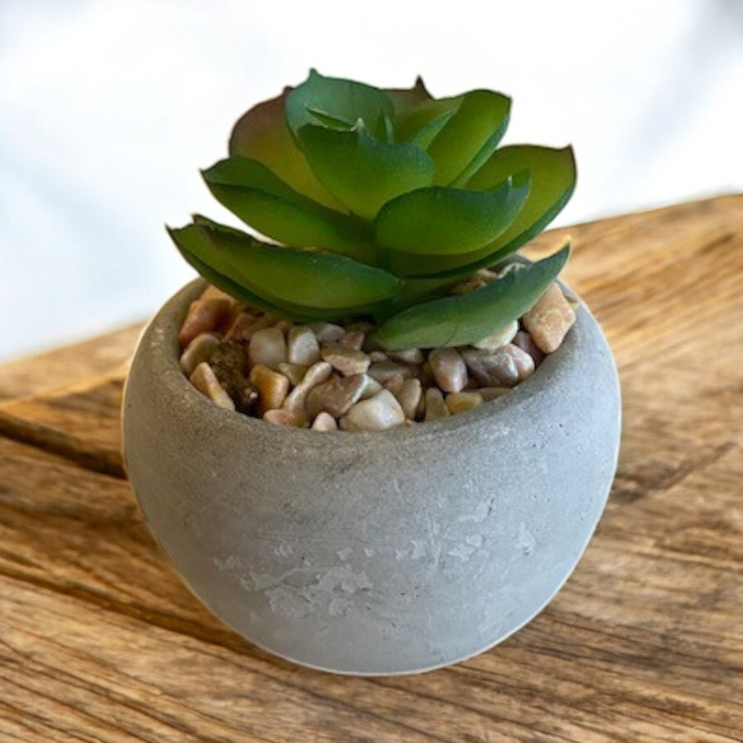 Mini Succulent - 6 Styles