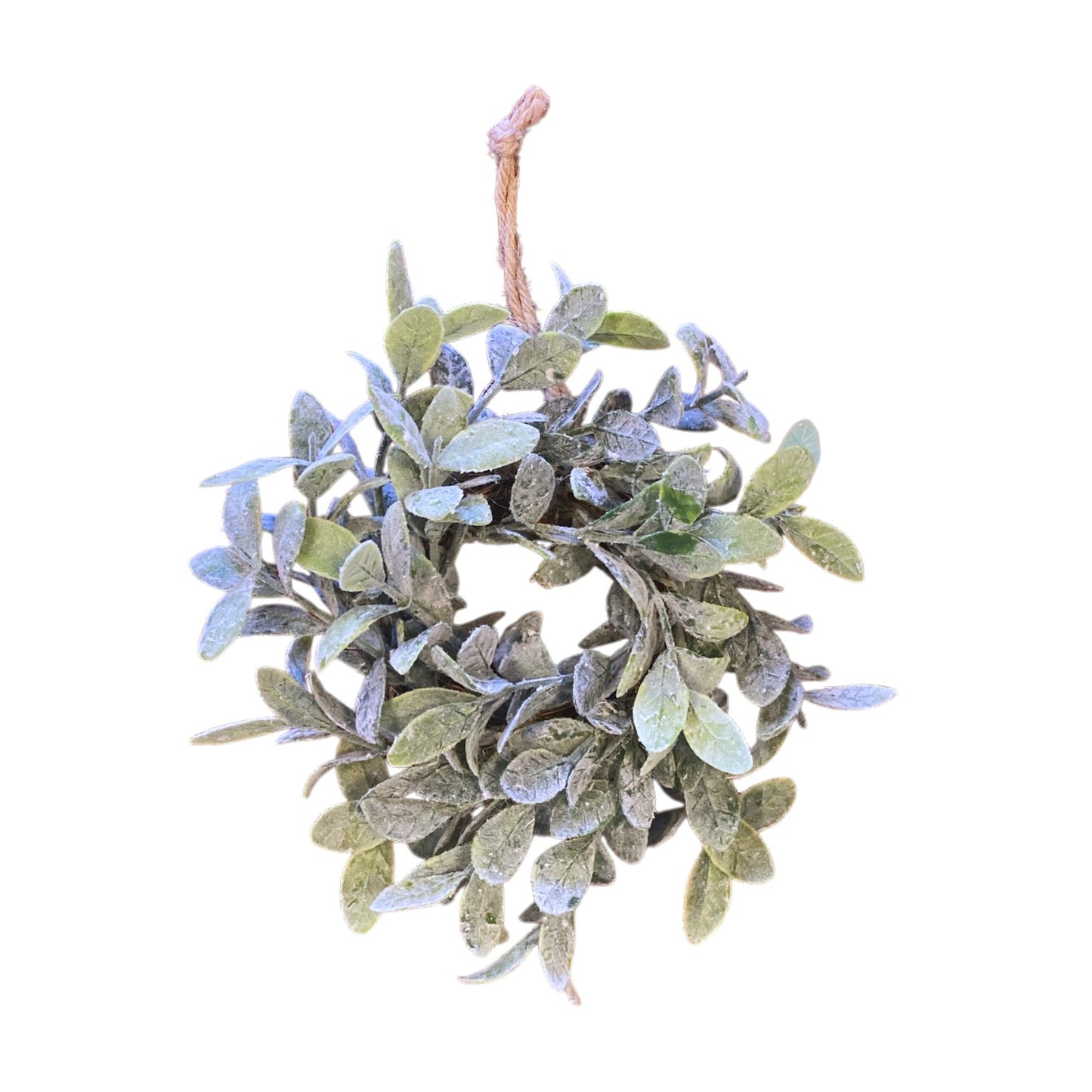 Mini Cabinet Eucalyptus Wreaths - 3 Styles