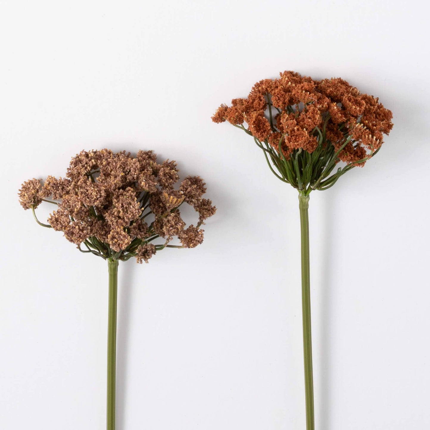Autumn Queen Anne's Lace Spray - 22"