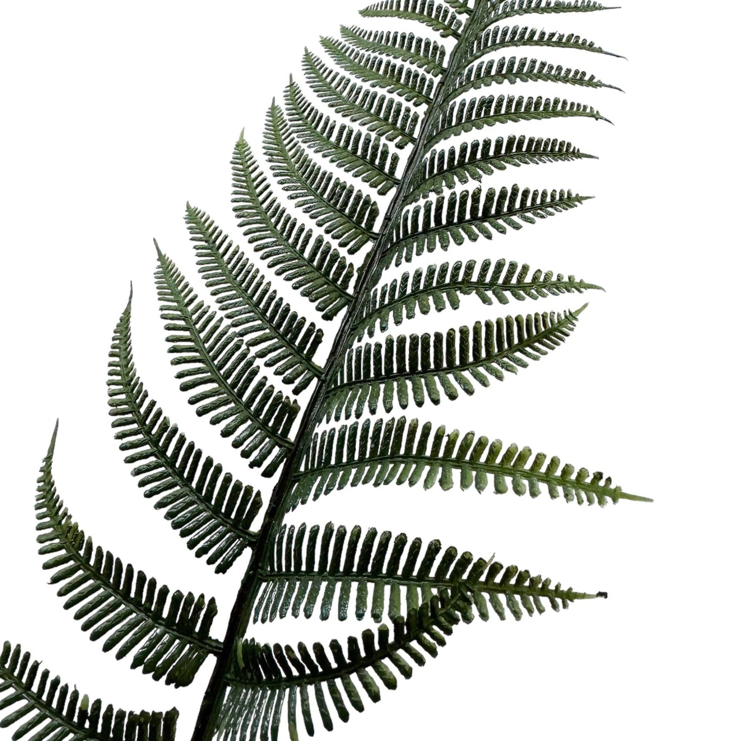 Flexible-Stem Artificial Fern Leaves - 18" Height