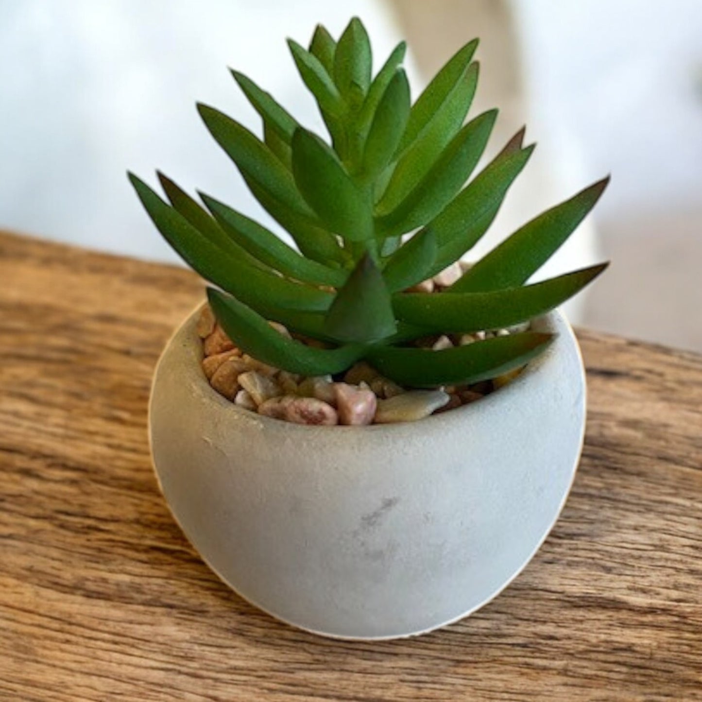 Mini Succulent - 6 Styles
