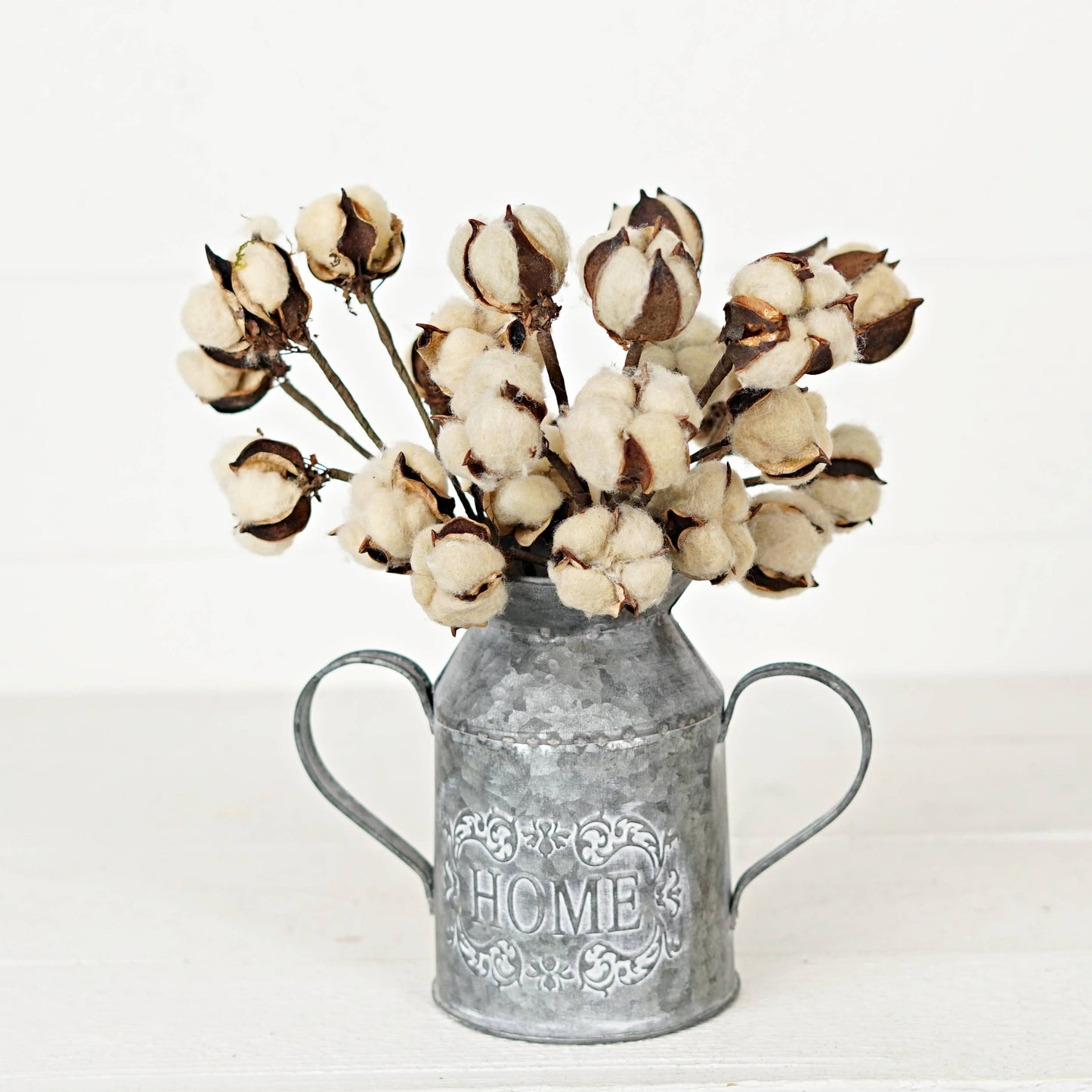 Tea-stain Cotton Bush - 13"