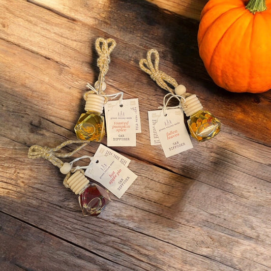 Autumn Scented Car Diffusers