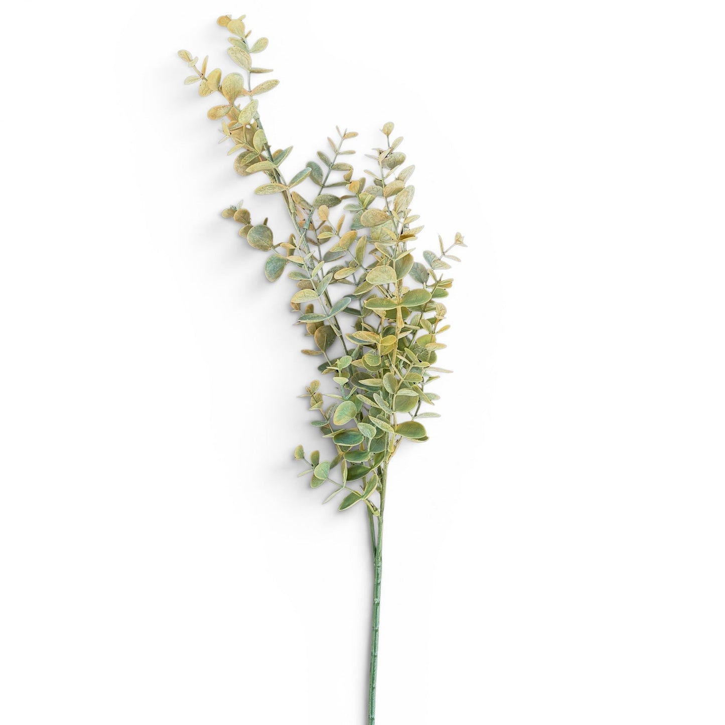 Spiral Eucalyptus Spray, Peachy Green - 25"