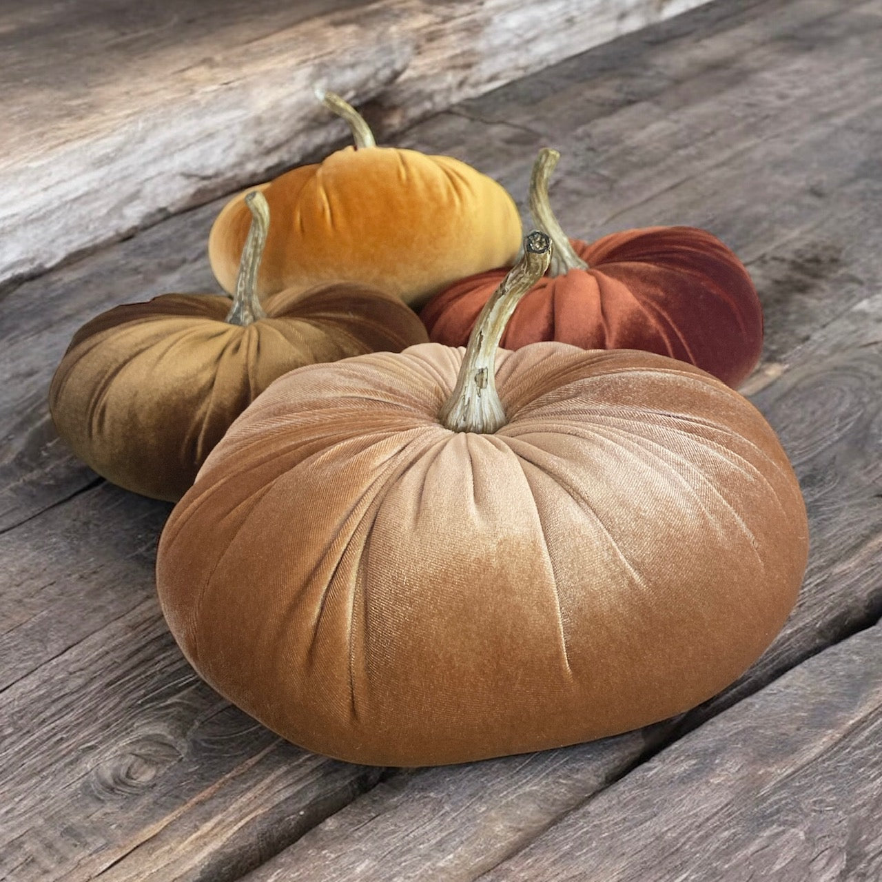 Velvet Pumpkin - 10"