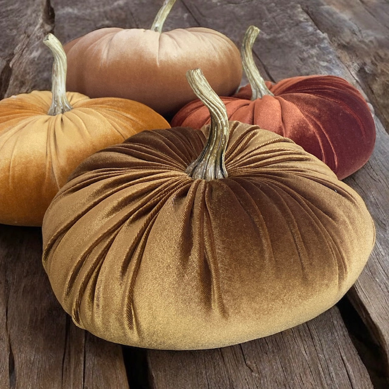 Velvet Pumpkin - 10"