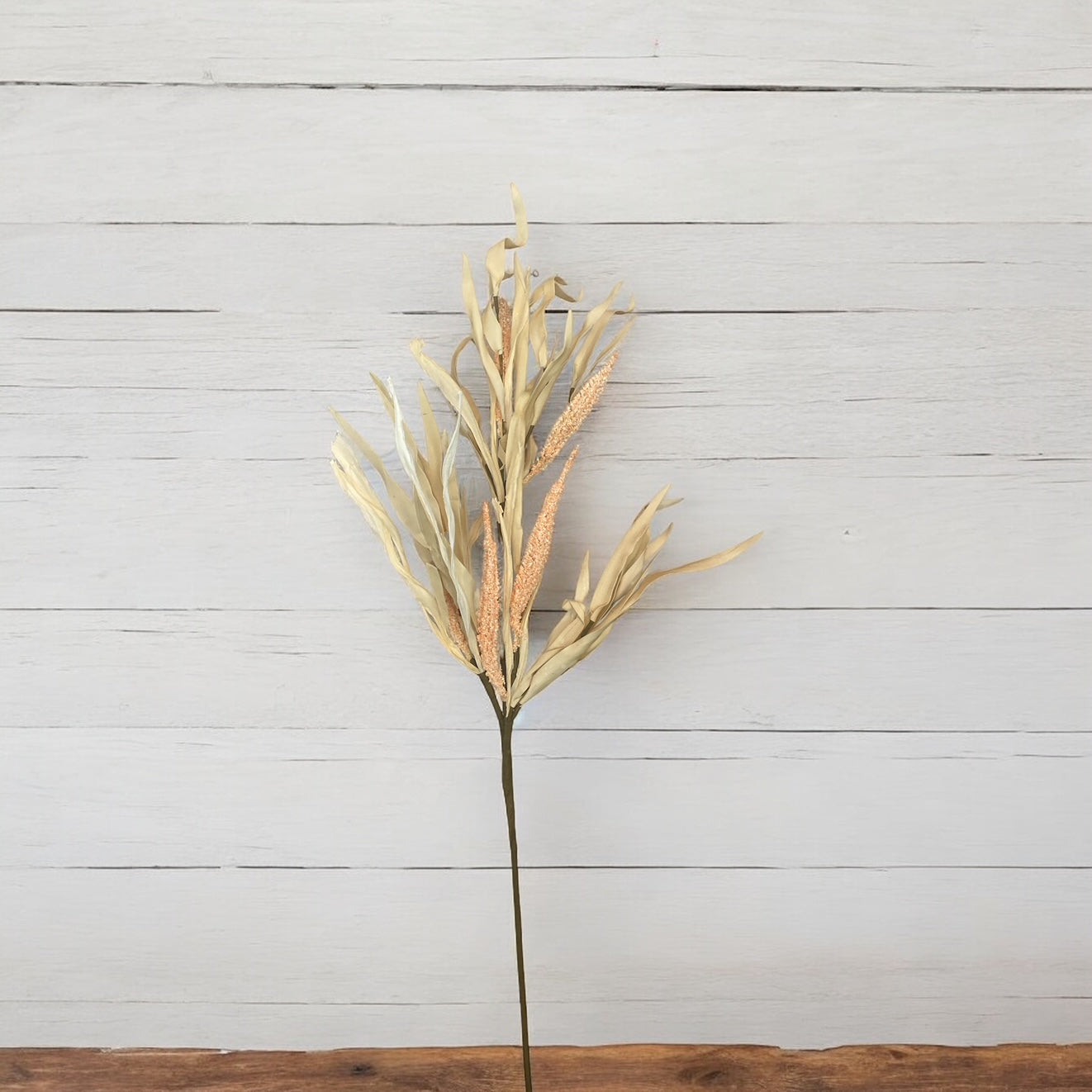 Natural Foxtail Pick - 30"