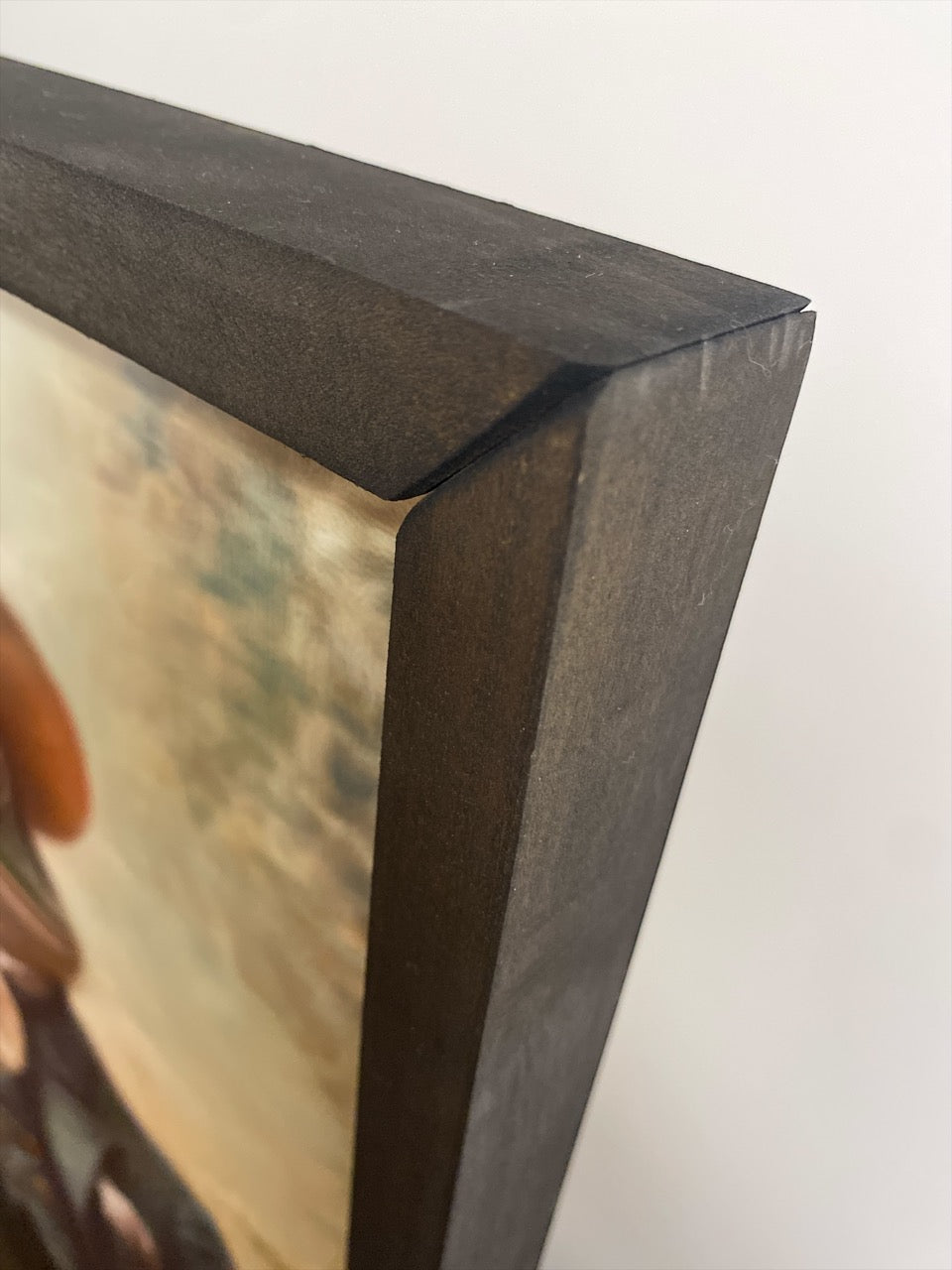 Sir Frog of Spring Box Frame Art