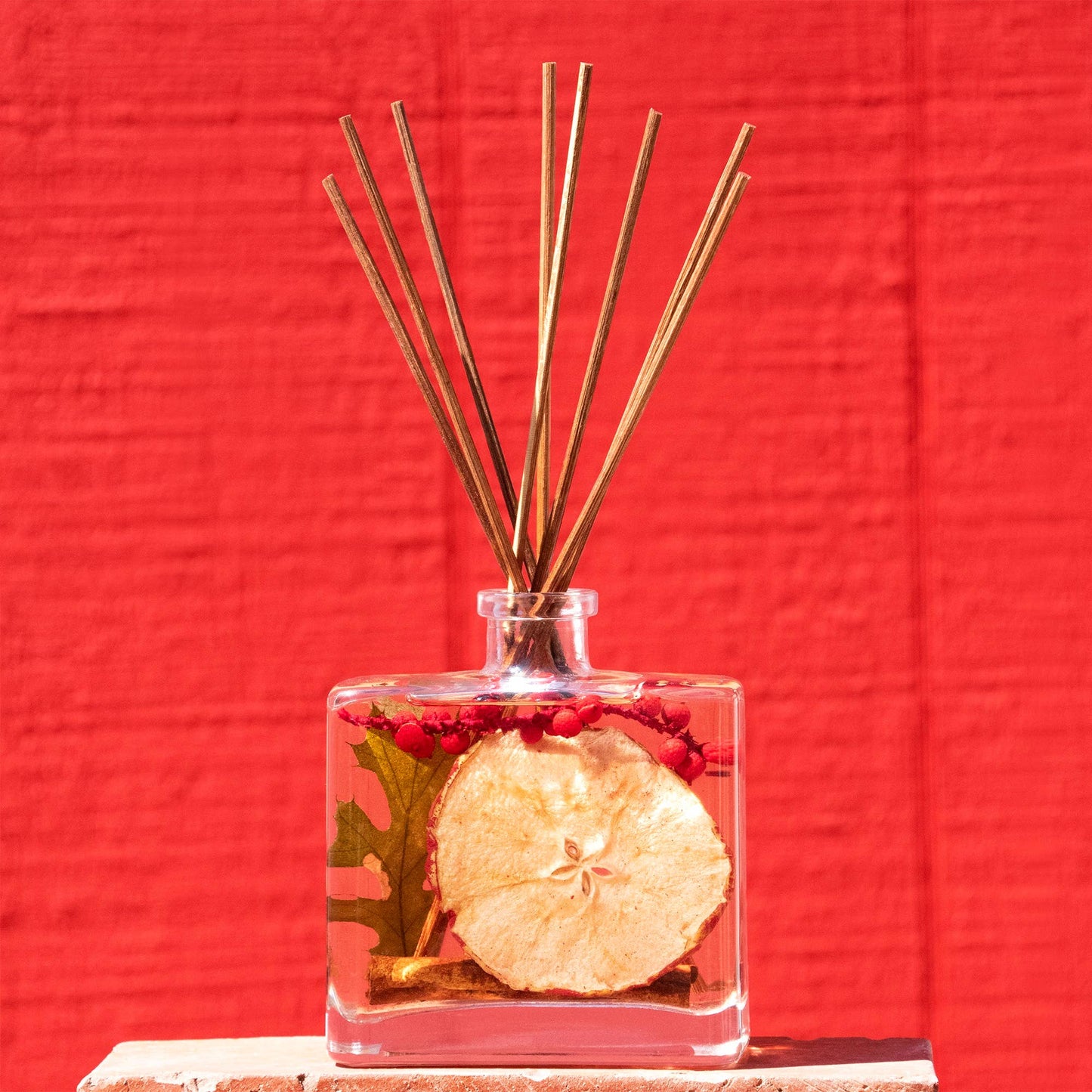 Apple Cider Cinnamon Botanical Reed Diffuser - 7.5floz