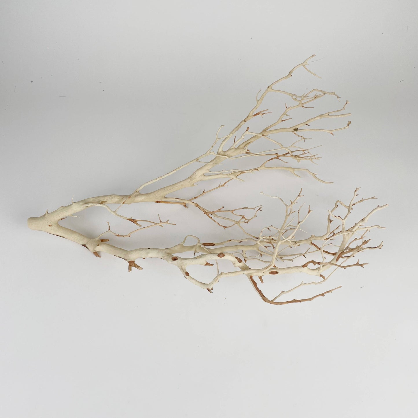 Manzanita Sandblasted Branches, 18" - 22"