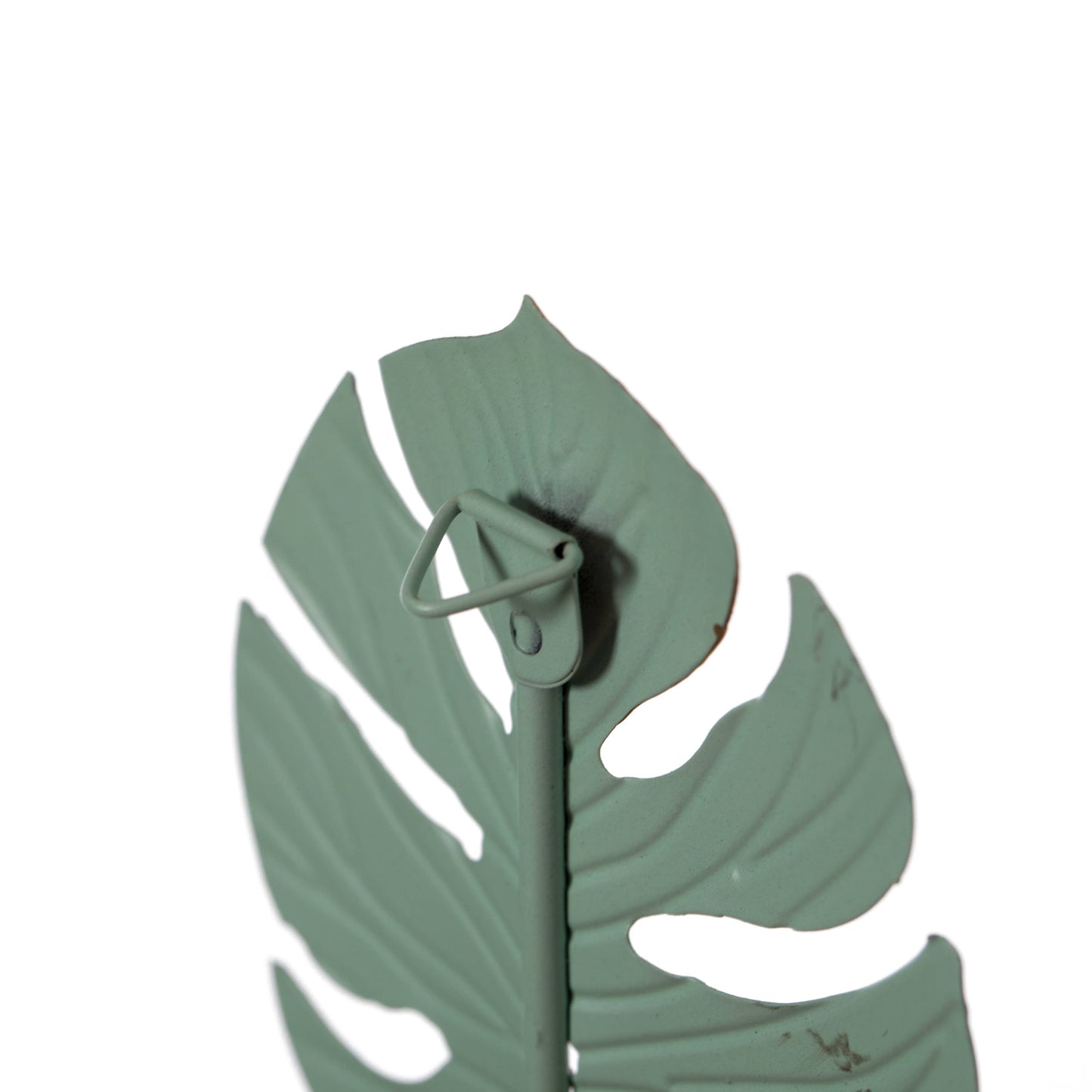 Philodendron Split Leaf Wall Mounted Hook