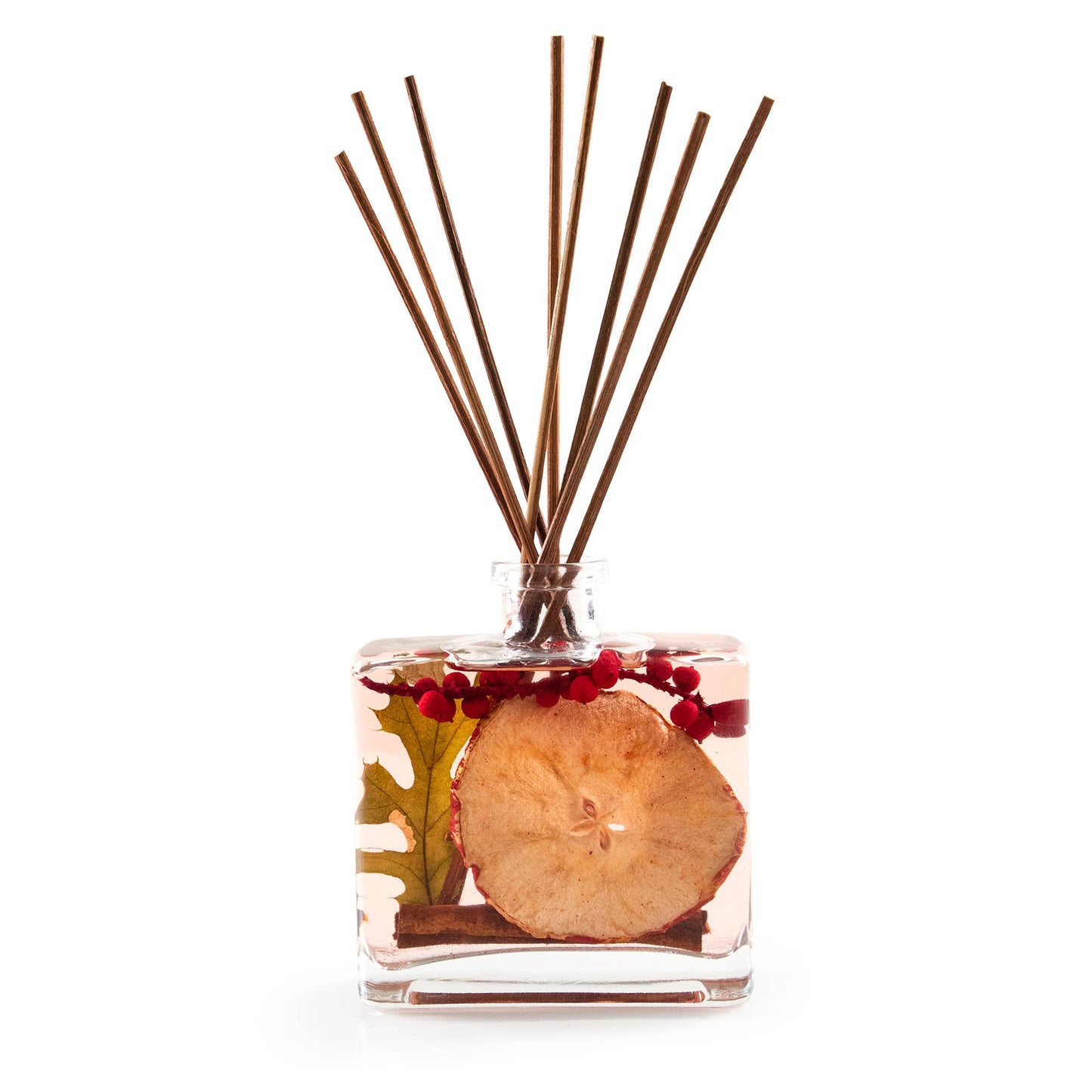 Apple Cider Cinnamon Botanical Reed Diffuser - 7.5floz