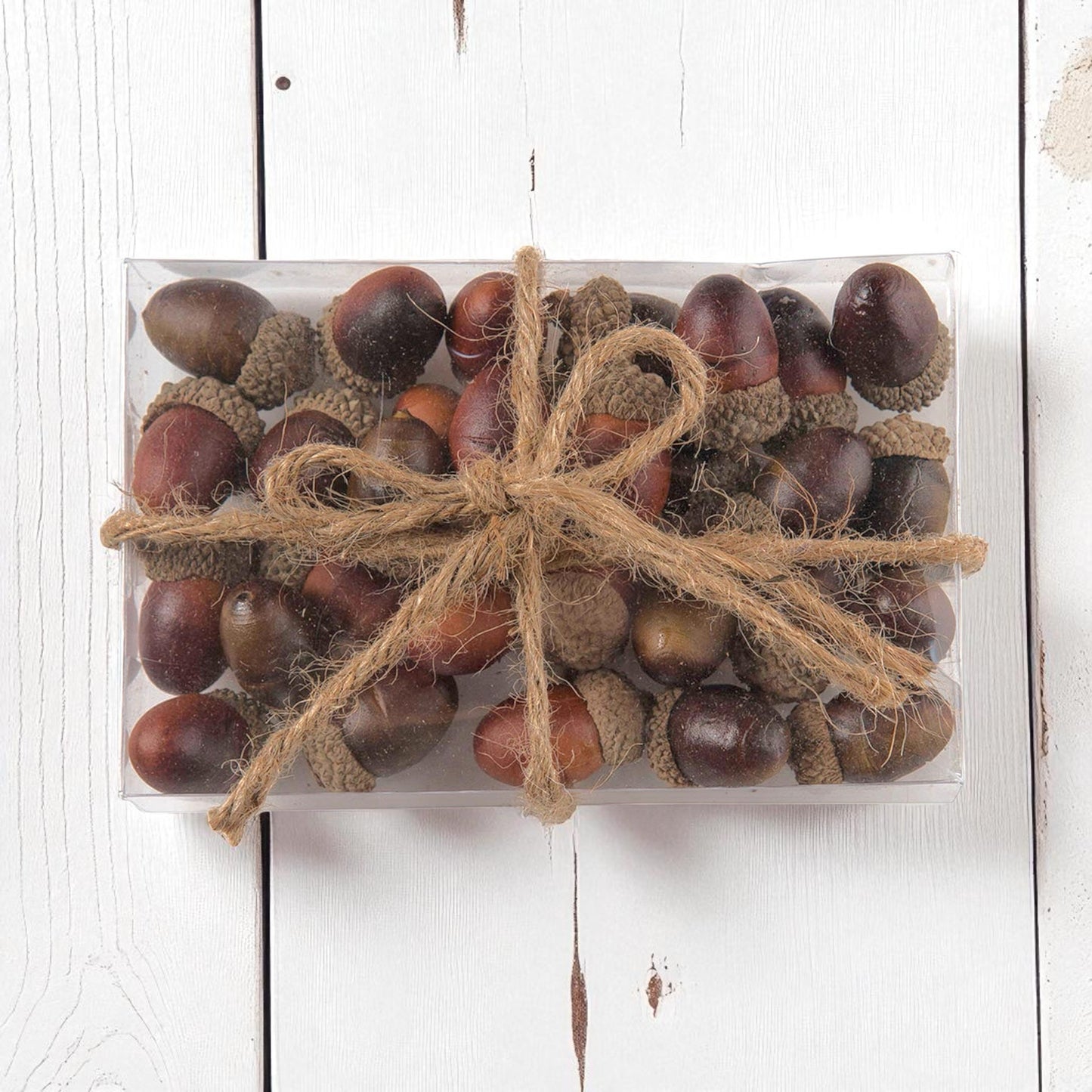 Box of Foam Acorns