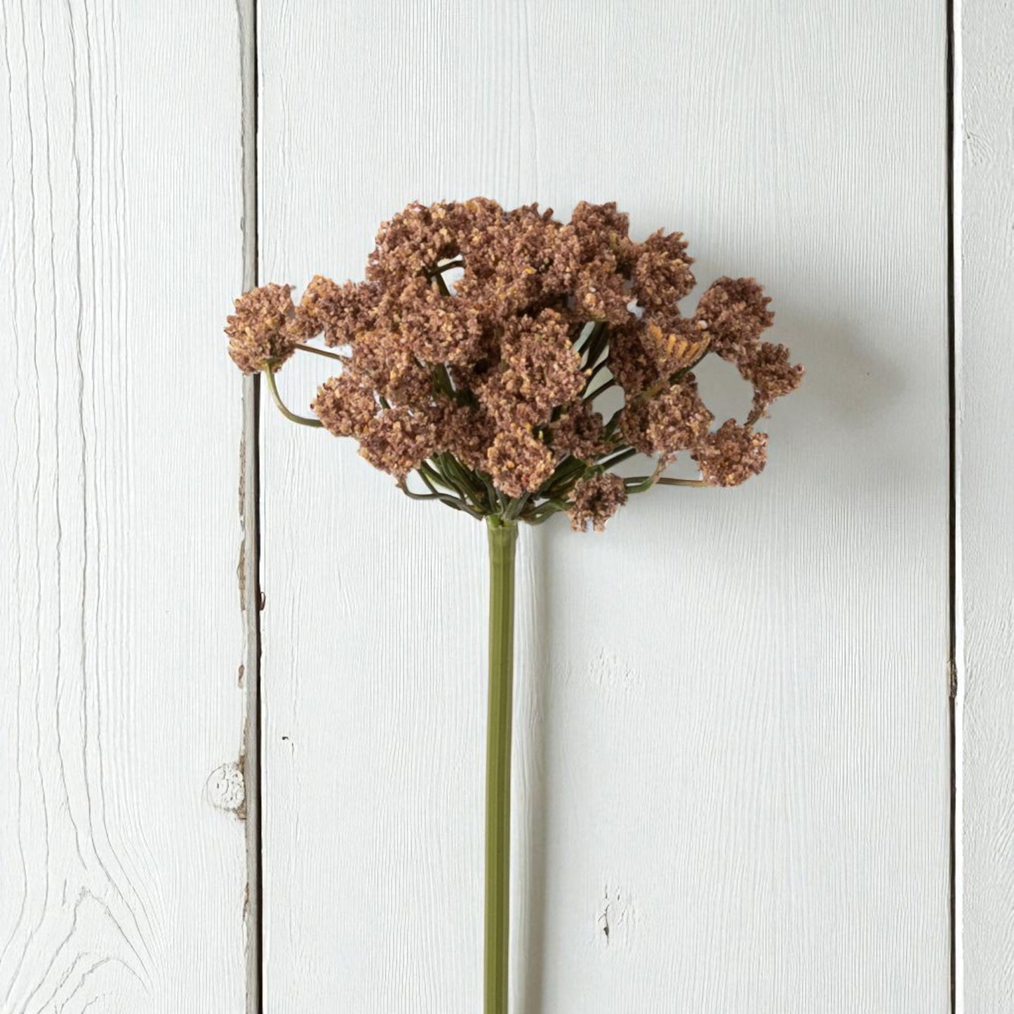 Autumn Queen Anne's Lace Spray - 22"