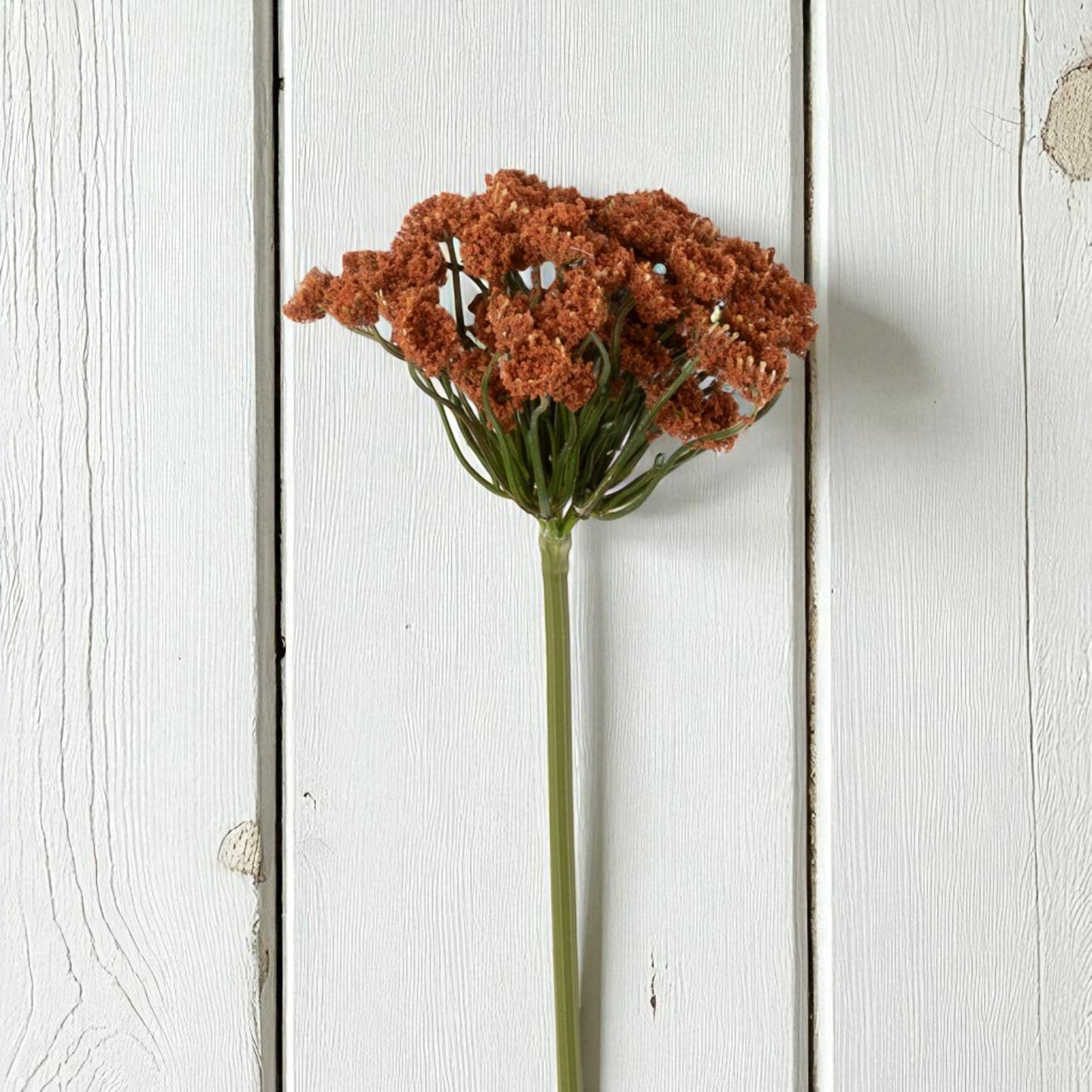 Autumn Queen Anne's Lace Spray - 22"