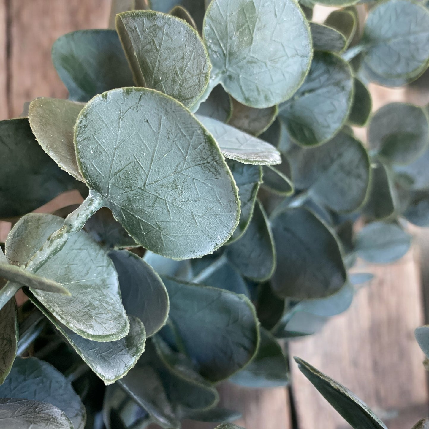 Eucalyptus Bunch - 22"