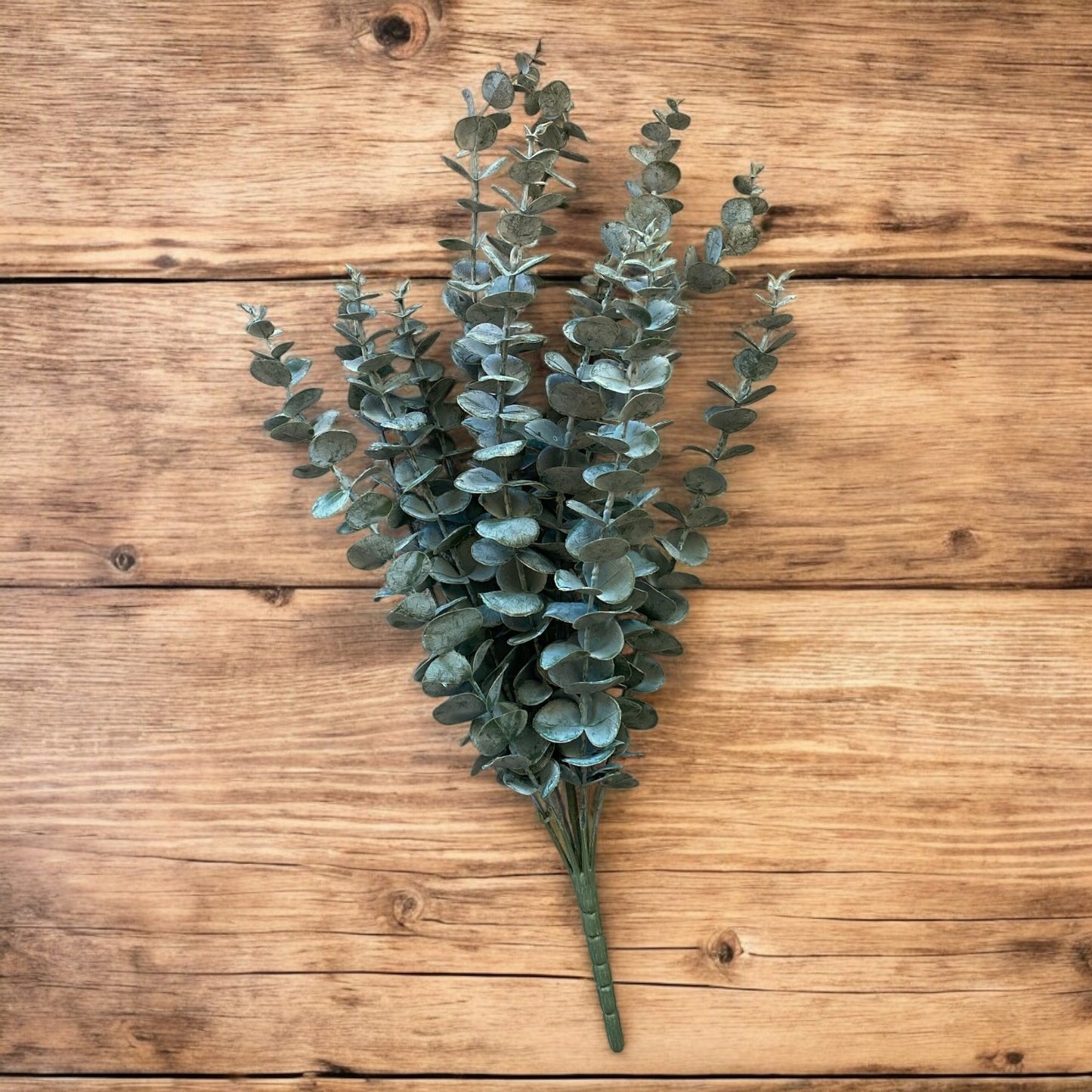 Eucalyptus Bunch - 22"