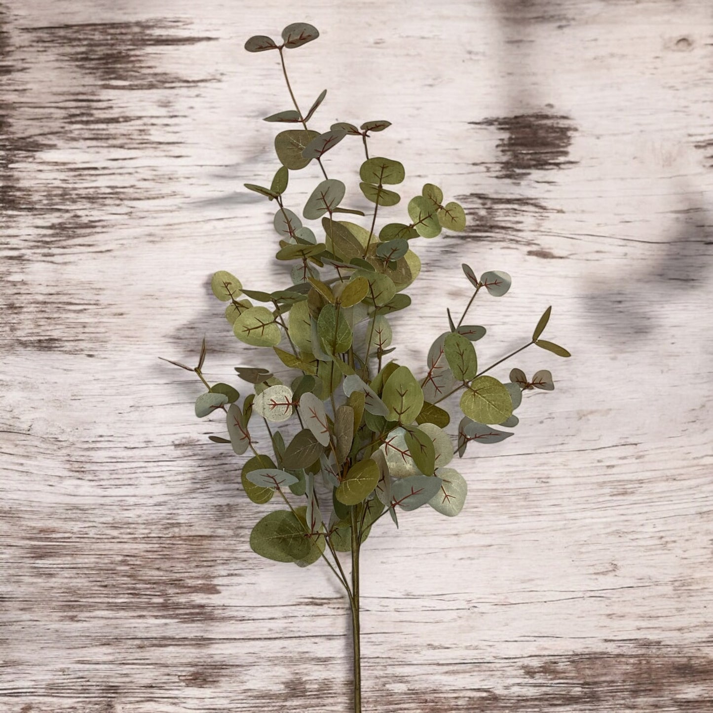 Green Two-Tone Eucalyptus Stem - 36"