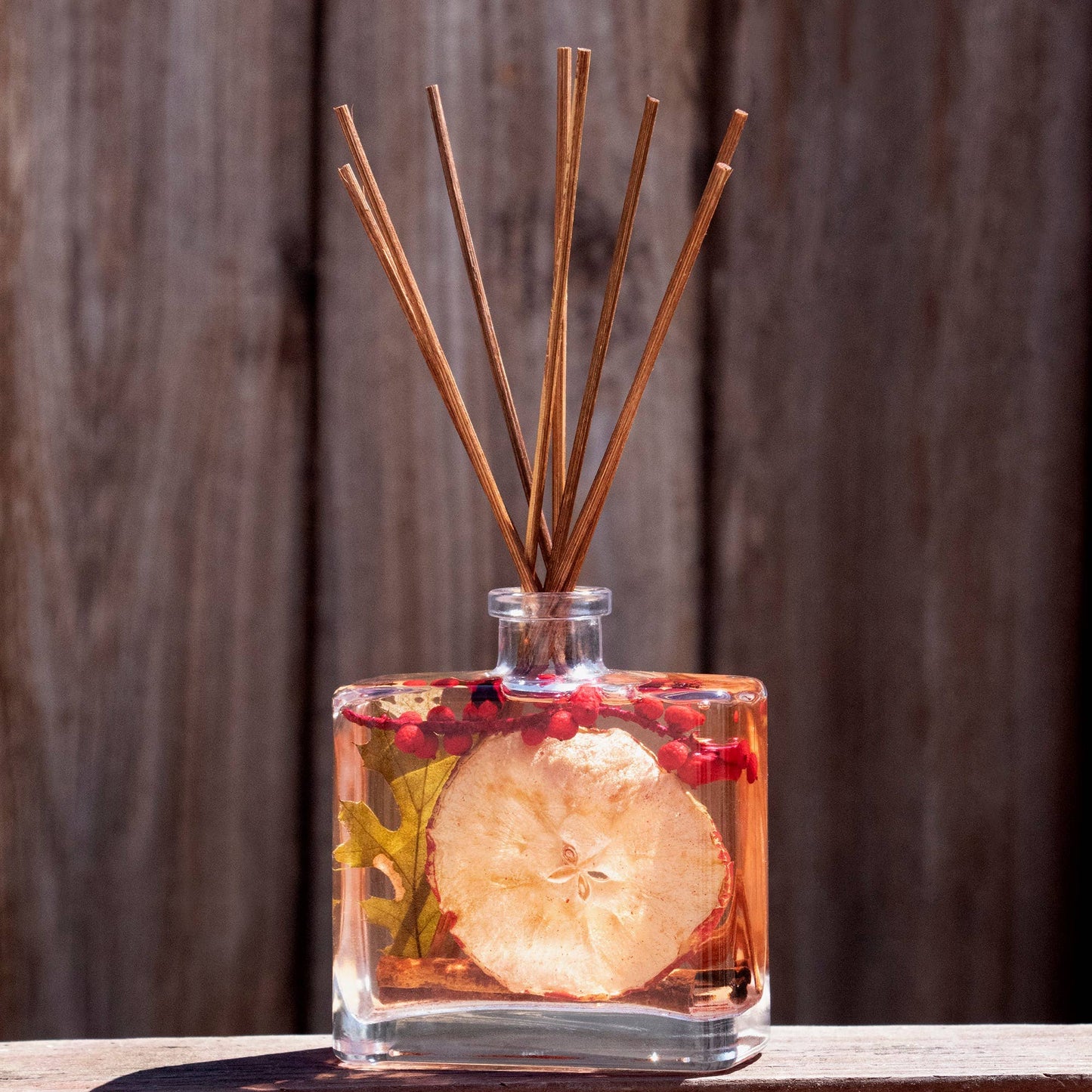 Apple Cider Cinnamon Botanical Reed Diffuser - 7.5floz