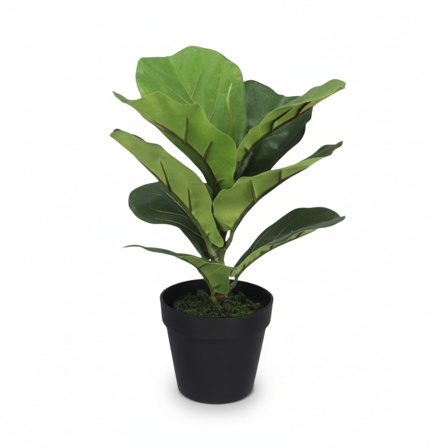 Artificial Ficus Lyrata in Plastic Pot