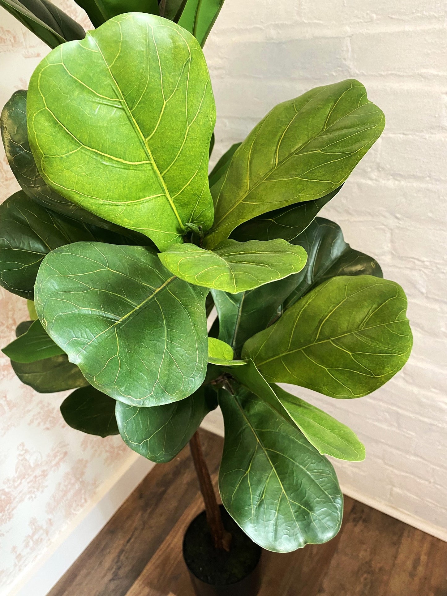 51" Fiddleleaf Tree