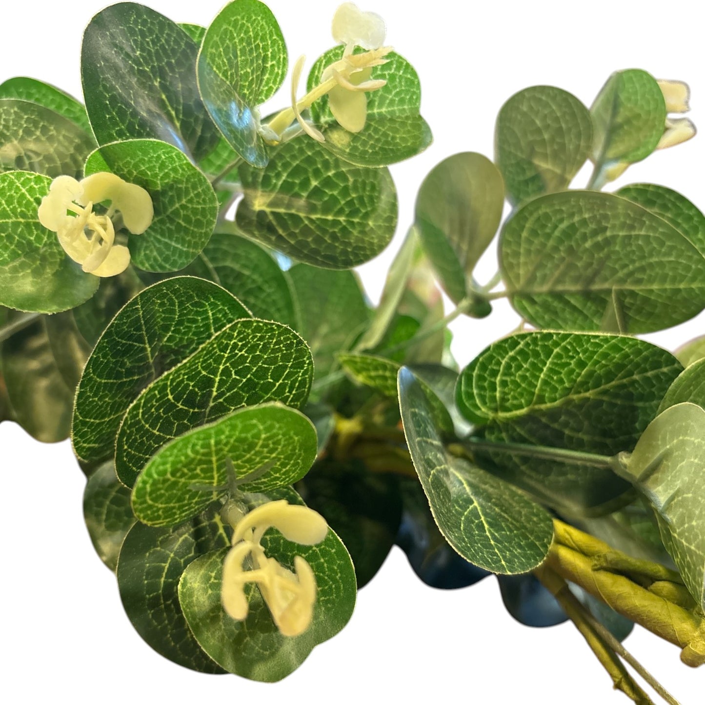 Eucalyptus Garland - 4'