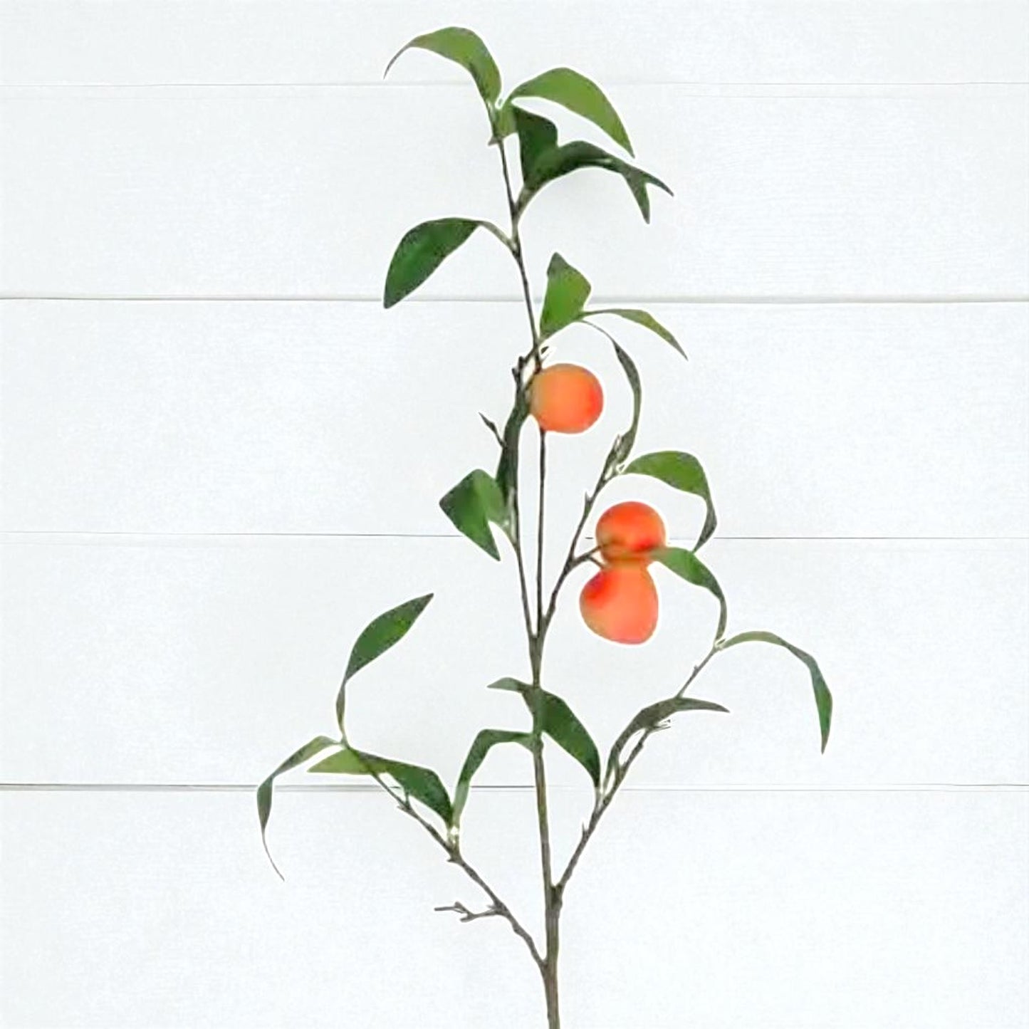 Long Peaches Stem - 37"
