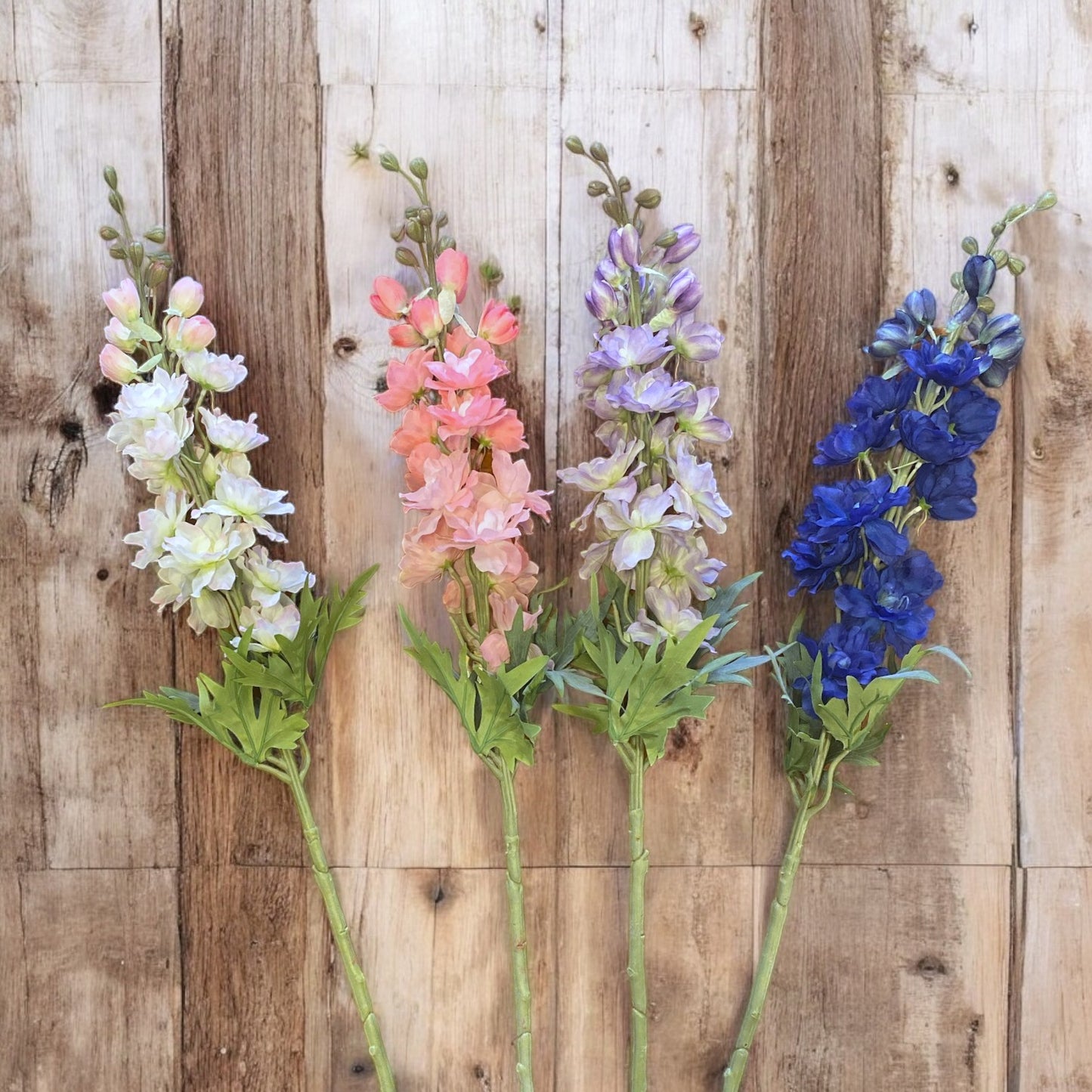 Snapdragons - 33"
