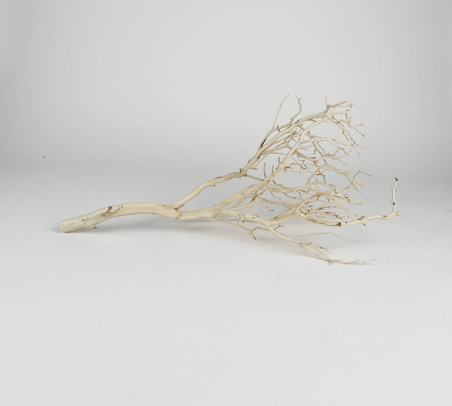 Manzanita Sandblasted Branches, 18" - 22"