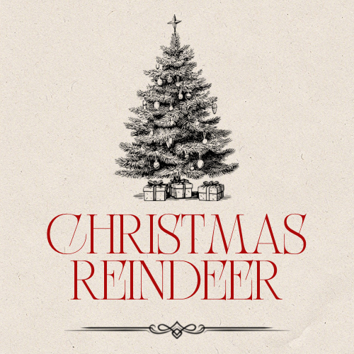 Christmas Reindeer