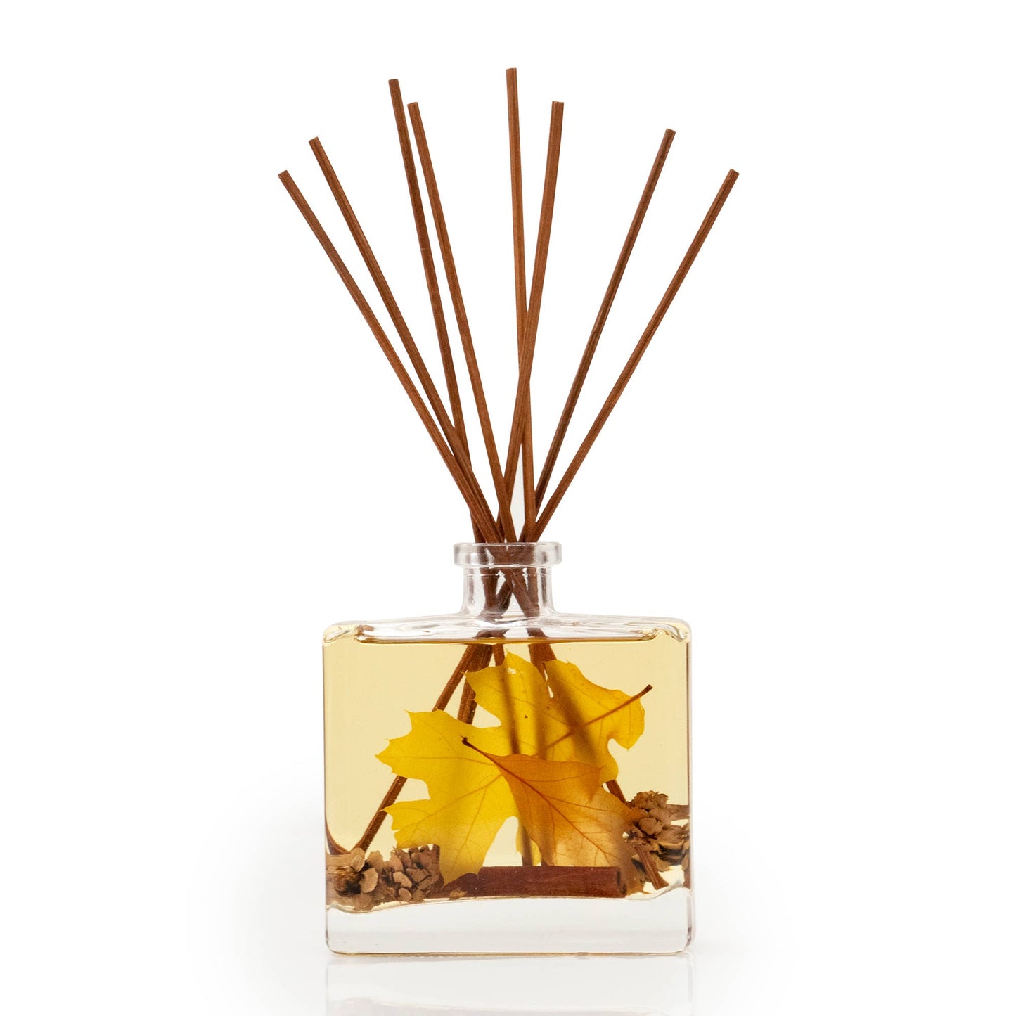 Pumpkin Patch Botanical Reed Diffuser - 7.5floz