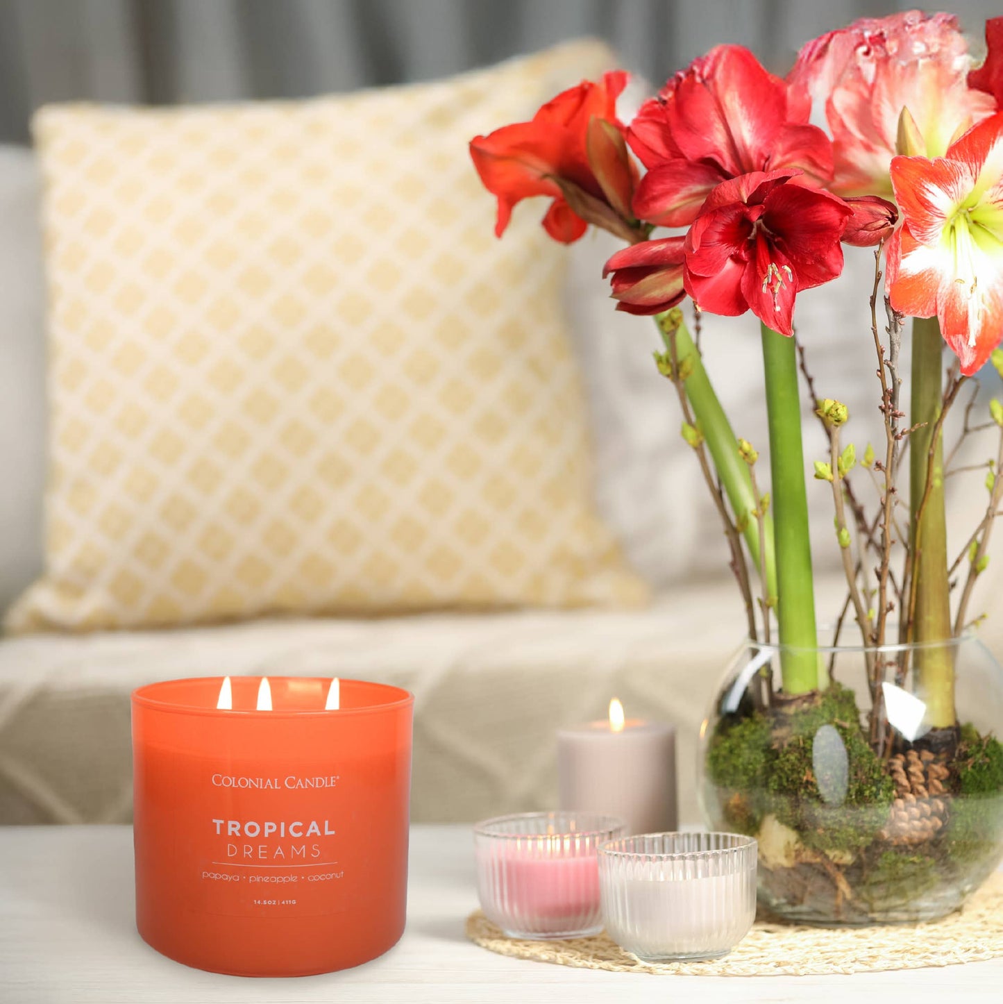 Tropical Dreams Scented Jar Candle, Soy Blend Wax, 14.5oz