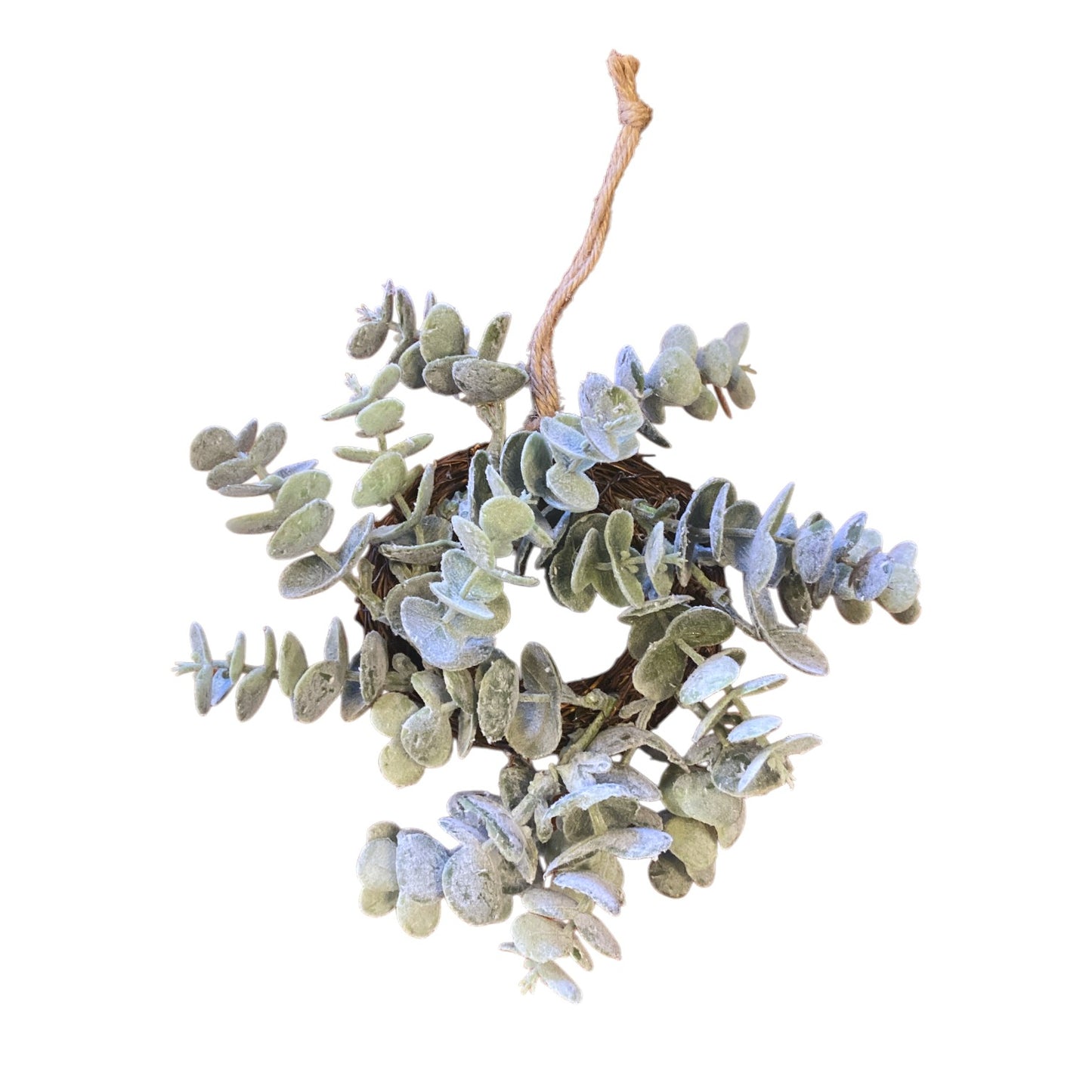 Mini Cabinet Eucalyptus Wreaths - 3 Styles