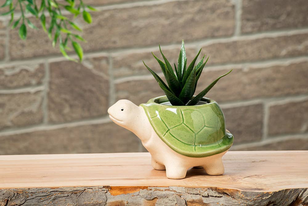 Small Turtle Planter - 3.5"