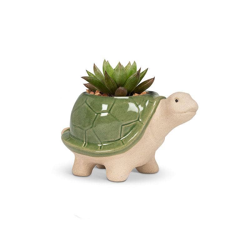Small Turtle Planter - 3.5"