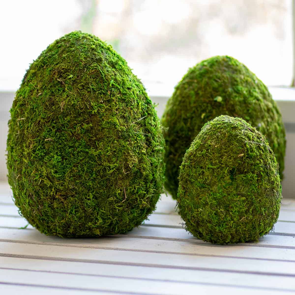 Moss Egg - 6.5"