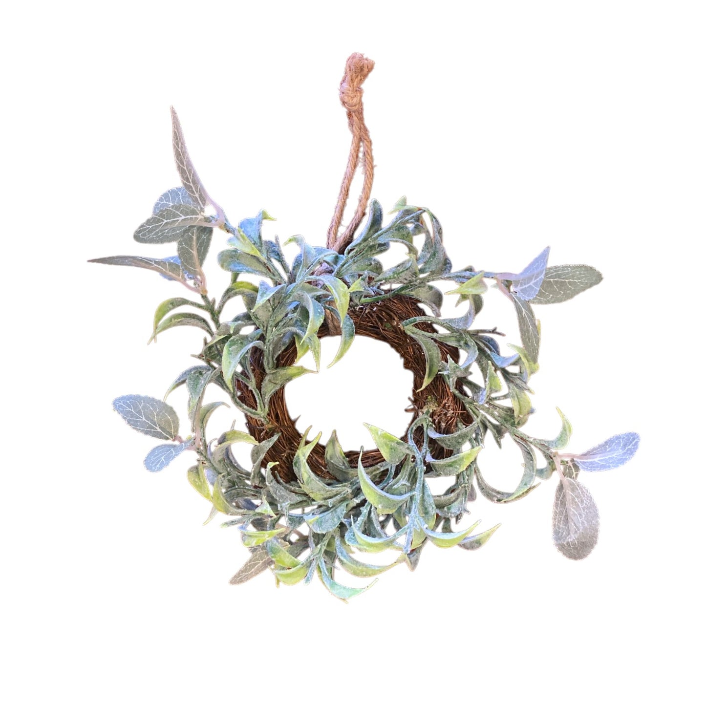 Mini Cabinet Eucalyptus Wreaths - 3 Styles