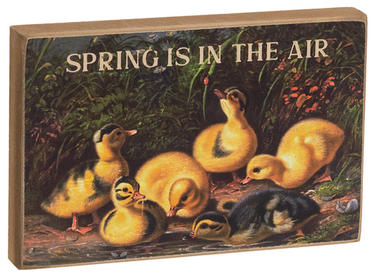 Spring is in the Air Shelf Sitter - 4"x6"