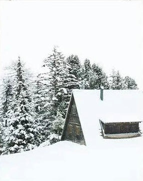 Winter Poster Prints - 24"x36"