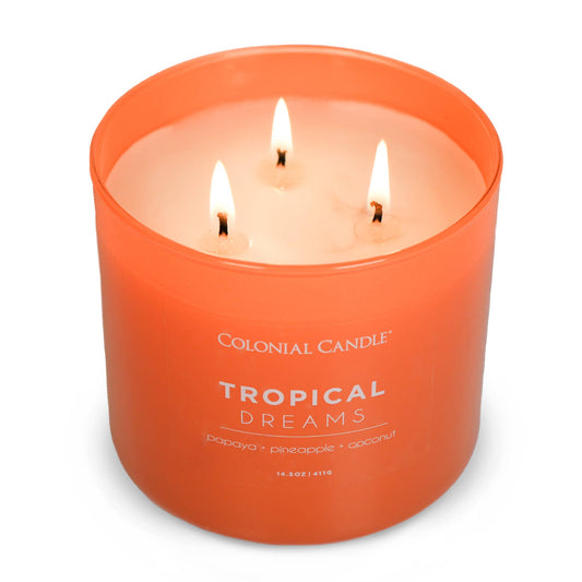 Tropical Dreams Scented Jar Candle, Soy Blend Wax, 14.5oz