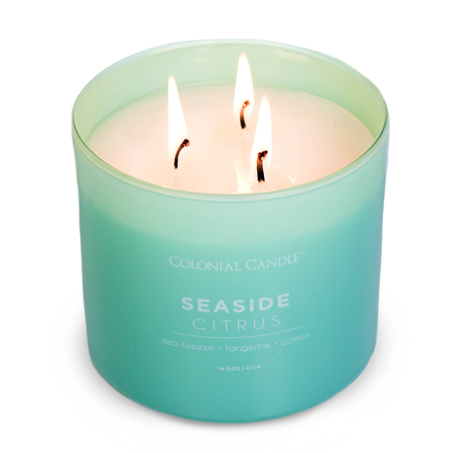 Seaside Citrus Scented Jar Candle, Soy Blend Wax, 14.5oz