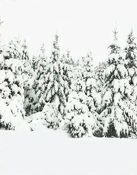Winter Poster Prints - 24"x36"