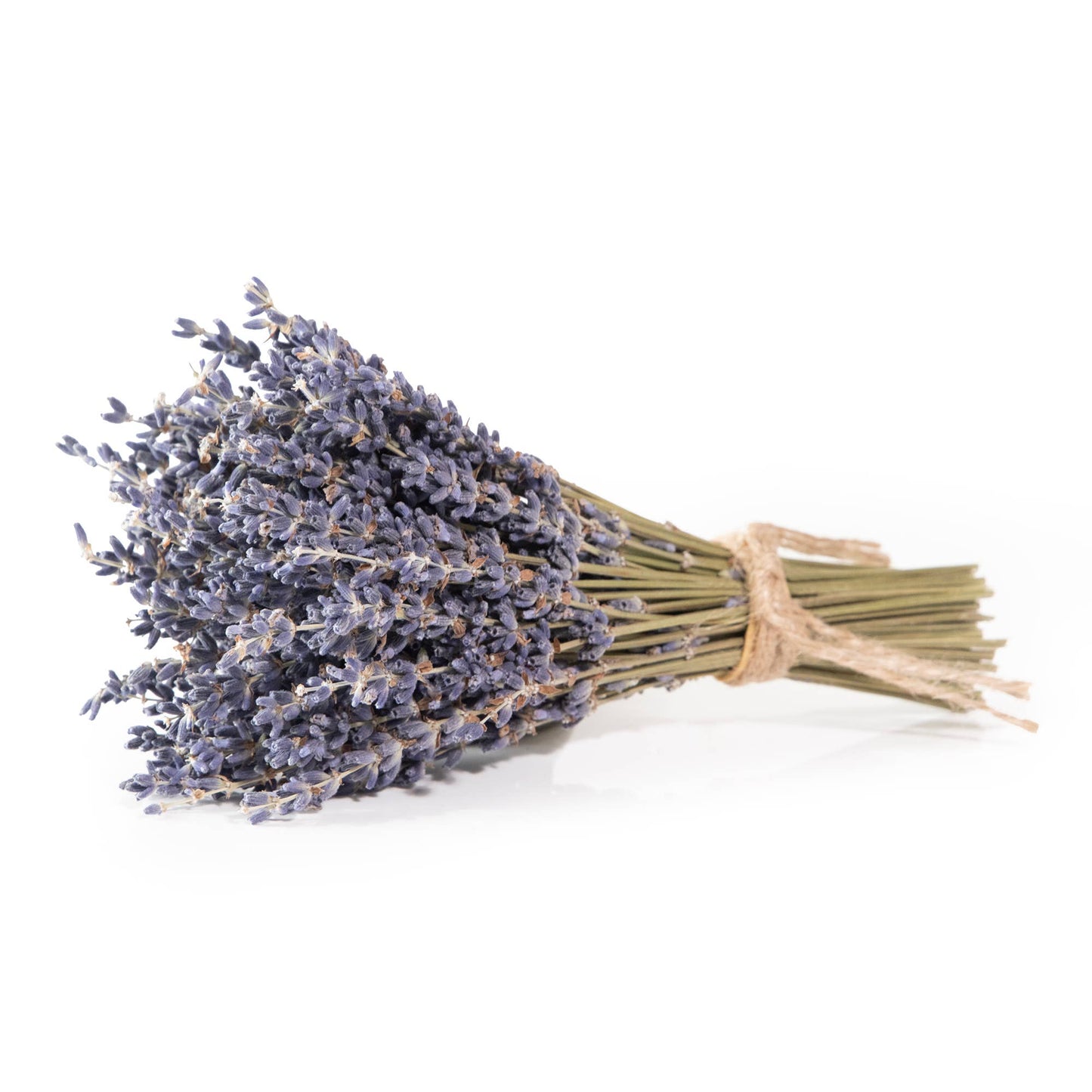 Mini French Lavender Bundle