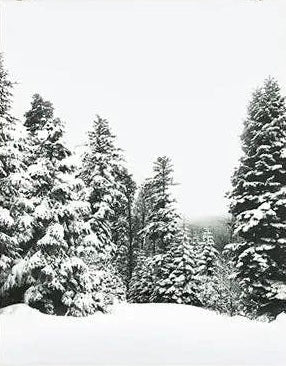 Winter Poster Prints - 24"x36"