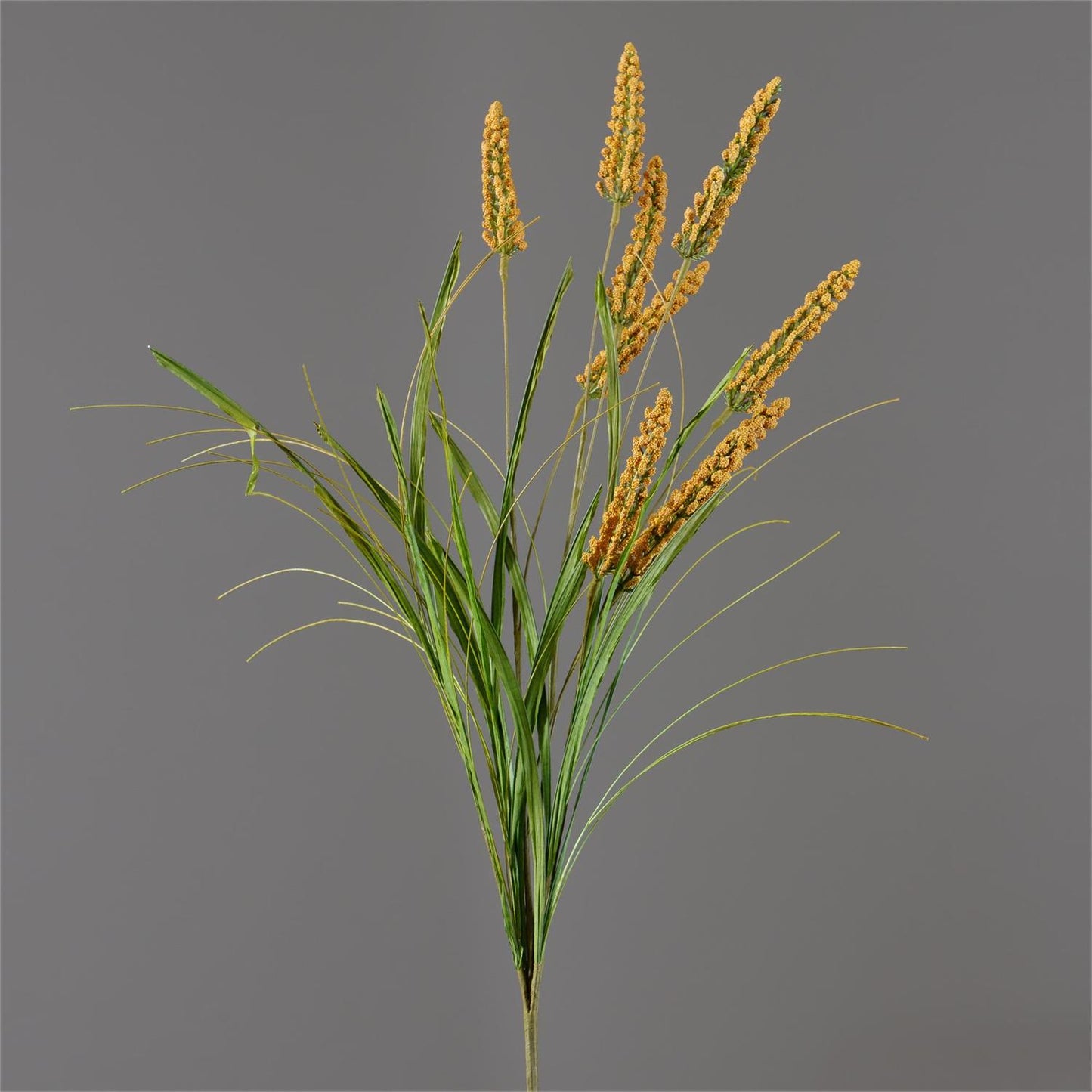 Mustard Spike with Foliage - 28"