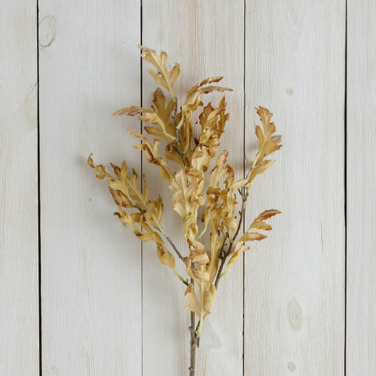 Dried Oak Leaves Branch, Cream - 30"