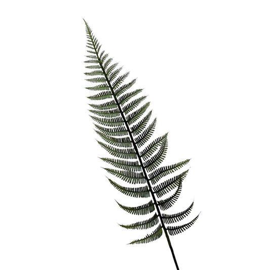 Flexible-Stem Artificial Fern Leaves - 18" Height