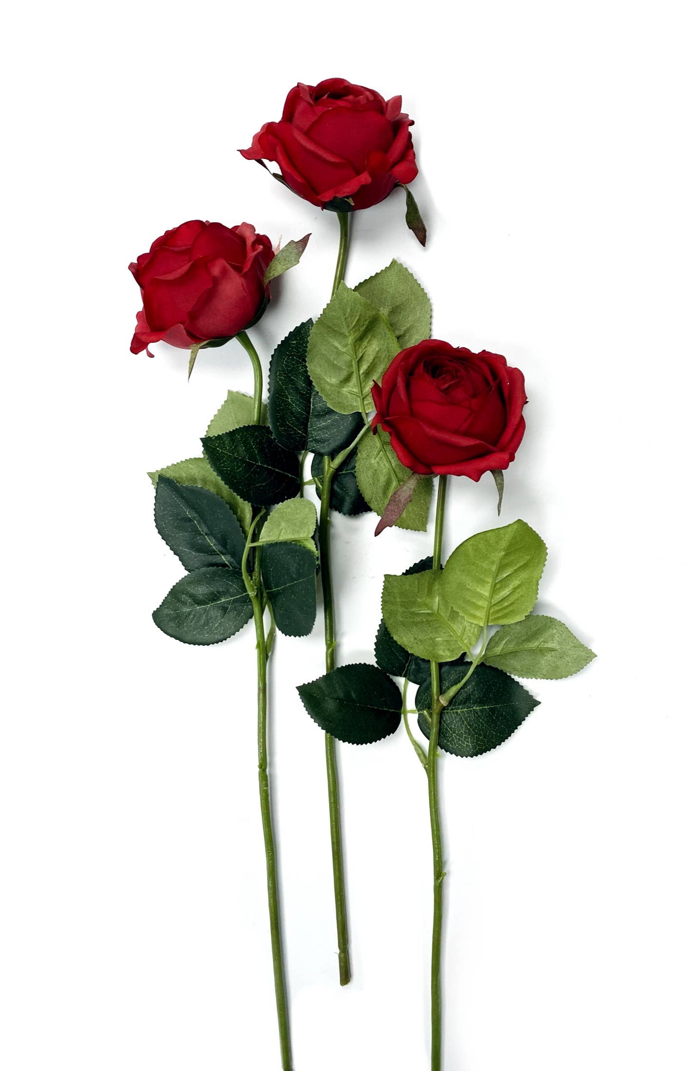 Elegant Red Cabbage Rose - 17"
